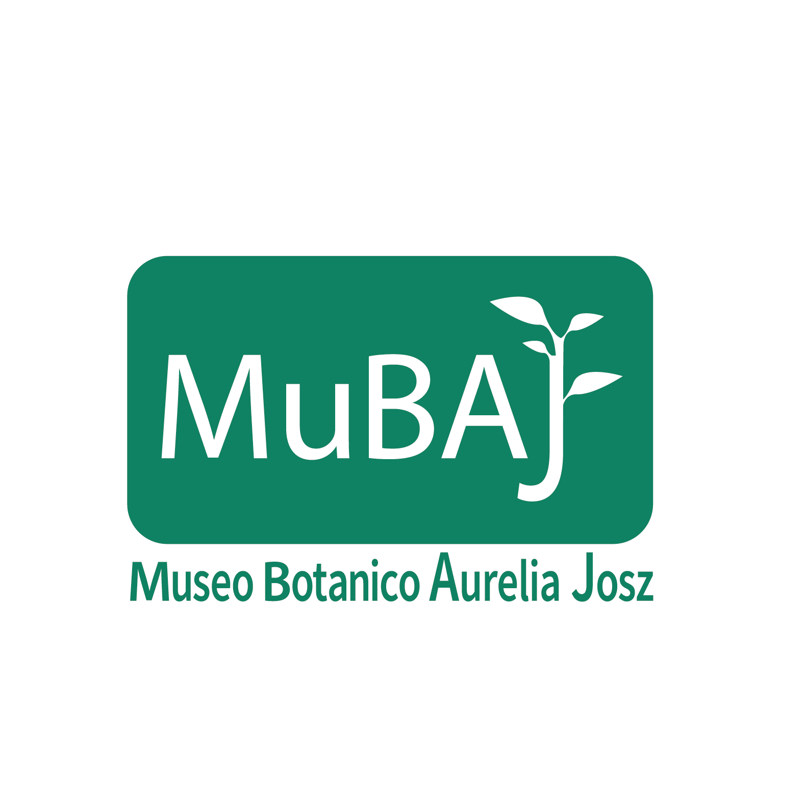 Le iniziative del 17 dicembre al Museo Botanico Aurelia Josz