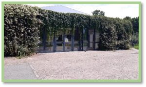 La Sezione Didattica Scuola e Ambiente - Villa Lonati