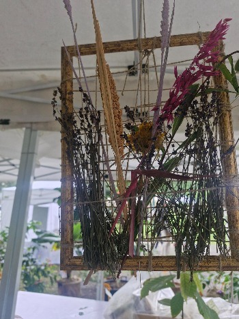 La Sezione Didattica Scuola e Ambiente - Villa Lonati